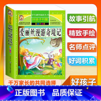 (单本)爱丽丝漫游奇境记 [正版]全套68本小学生快乐读书吧一二三四五六年级儿童文学四大名著童年安徒生格林童话朝花夕拾简