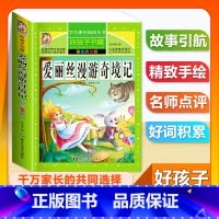 (单本)爱丽丝漫游奇境记 [正版]全套68本小学生快乐读书吧一二三四五六年级儿童文学四大名著童年安徒生格林童话朝花夕拾简