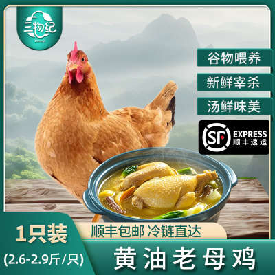[苏鲜生推荐]三物纪 皖南黄油老母鸡2.6-2.9斤/只 1只装 新鲜现杀冷冻净膛慢养走地鸡