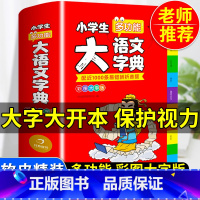 [正版]2023小学生大语文词典小多功能大全四字彩色图案彩色版中华现代汉语词语工具书中小学字典儿童成语训练大字典2022
