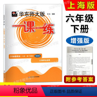 英语增强版 六年级下 [正版]2023华东师大版一课一练 英语N版增强版 六年级下/6年级第二学期 上海版配套教辅课后