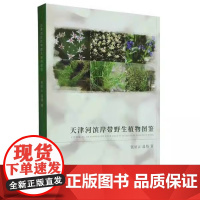 天津河滨岸带野生植物图鉴 张征云,温娟 2023天津大学出版社9787