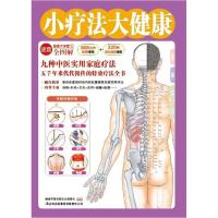 正版新书]小疗法大健康(83种病症的家庭速效治疗方法,九种中医