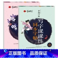 写字课课练同步字帖 2年级上下册 [正版]罗扬字帖课堂笔记天天练练字帖人教版同步字帖一课一练硬笔钢笔临摹一二三四五六七八