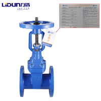 力盾 法兰明杆弹性座封闸阀 6541 DN125 台