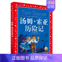 汤姆索亚历险记 [正版]安徒生童话全集/世界儿童共享的经典丛书 注音彩绘版1-3年级儿童文学名著 一二三年级小学生课外书