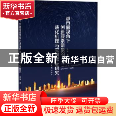 正版 都市圈视角下创新要素集聚的演化机理与空间效应研究 许泱著