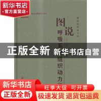 正版 图说呼吸系统组织动力学 史学义著 郑州大学出版社 97875645