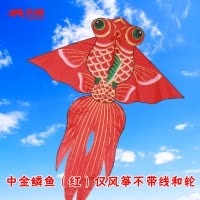 金鱼风筝微风易飞儿童成型新款潍坊风筝水晶线轮套装创意 三维工匠 大烫金鱼黑+25cm蓝轮800米线