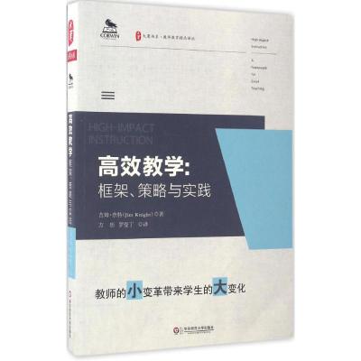 高效教学:框架、策略与实践 大夏书系