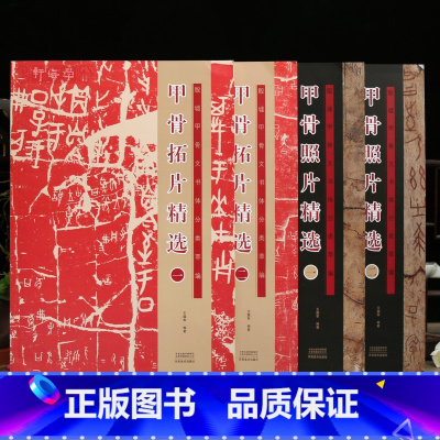 4本 甲骨照片+拓片选 [正版]学海轩共4本甲骨照片拓片选合集殷墟甲骨文书体分类萃编繁体释文著录参考丙编上博旅顺花东等毛