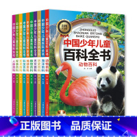 [全10册]百科套装 [正版]全套10册 中国少年儿童百科全书彩图注音版6-12岁青少年儿童科普书籍小学一二三年级课外阅