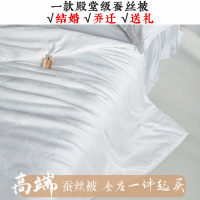高端100%桑蚕丝80支长绒棉蚕丝被子贡缎提花春秋被冬被子母被被芯