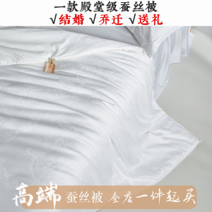 高端100%桑蚕丝80支长绒棉蚕丝被子贡缎提花春秋被冬被子母被被芯