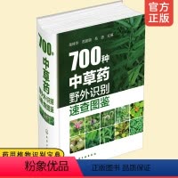 [正版] 700种中草药野外识别速查图鉴 药用植物识别宝典 彩图大全书籍 中草药野外识别彩色图鉴 中医基础理论中药