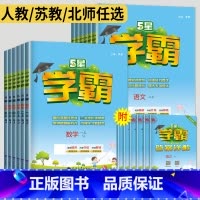 英语 译林版 三年级下 [正版]2024五星学霸二年级上册三年级上四五年级六年级下册数学语文英语苏教版北师人教译林一年级
