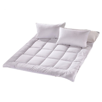 汉司家纺 HANSI-30 180*200cm 床垫(计价单位:件) 纯白色