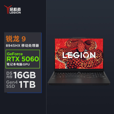 Legion R7000P ADR10BKER916G1TB11C(5060)黑(套餐)