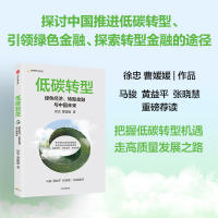 低碳转型:绿色经济、转型金融与中国未来