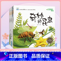 大自然的奥秘-全套(5册) [正版]了不起的妈妈绘本 小果树系列全套6册 3-6岁儿童成长绘本故事书 宝宝教育启蒙睡前故