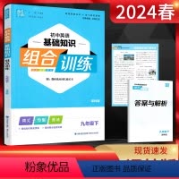 英语 九年级下 [正版]2024春初中英语基础知识组合训练九年级下册译林版YL 初三9年级英语下江苏版同步课时提优训练词