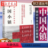 [正版]财之道丛书 中国小镇 撬动全球经济的重镇 张梦希 著 知乎1000000+粉丝追捧蛋蛋姐力作 另一个版本的《
