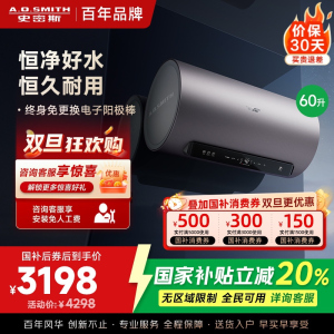 AO史密斯60升电热水器 国家补贴 金圭内胆 双棒分离速热 免换镁棒 免清洗 E60ED8