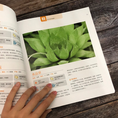 多肉植物完全图鉴