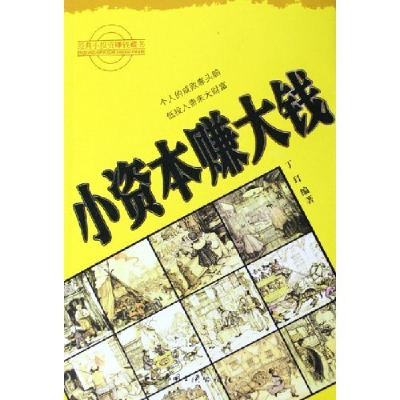 正版新书]小资本赚大钱丁玎9787802231429