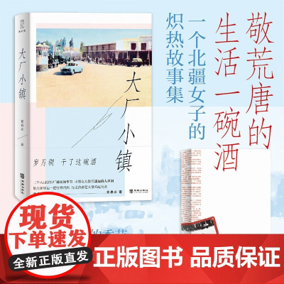 大厂小镇 嬴春衣 著 纪实文学