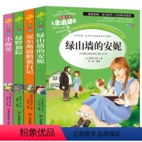 [正版]绿山墙的安妮小海蒂尼尔斯骑鹅旅行记绿野仙踪书四年级小学生三四五六年级必读课外书籍4册阅读9-15岁儿童文学世界