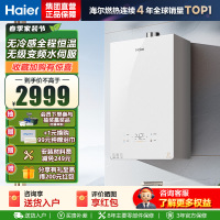 海尔(Haier)燃气热水器[小海鲸KL5MAX]热水器天然气零冷感全程恒温 无级变频水伺服TSI增压大水量 16L