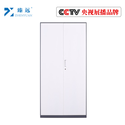 臻远文件柜办公柜钢制铁皮柜资料档案储物柜拆装窄边柜灰白色加厚款 铁门对开