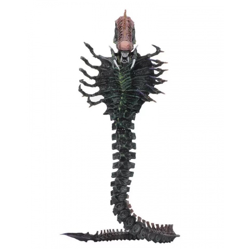 neca 51667异形alien kenner经典 第13波异形虫 7寸可动模型手办 蝎子