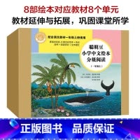 全套 [正版]聪明豆小学中文绘本分级阅读(一年级上)