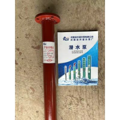 沈深 潜水泵管 DN125×2.5米/根