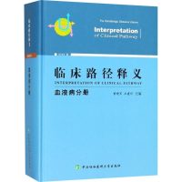 音像临床路径释义黄晓军,王建祥 主编