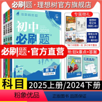 全科7本套装[人教版] 九年级下 [正版]理想树2025版初中九年级上册2024下册语文数学英语物理化学历史政治初三同步