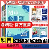 全科7本套装[人教版] 九年级下 [正版]理想树2025版初中九年级上册2024下册语文数学英语物理化学历史政治初三同步