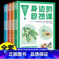 [全4册]身边的自然课 [正版]4册了不起的中国大国重器超级工程强国科技辉煌文明古代科技军事高铁建筑小学生四五六年级课外