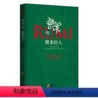 [正版] 鲁米:醒来的人 心灵修行诗集 华夏出版社L