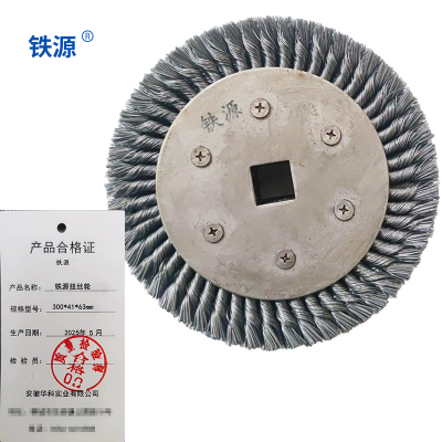 铁源扭丝轮300*41*63mm 只