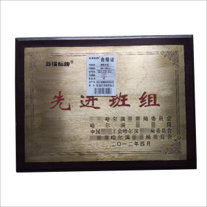 奖牌 (木托)