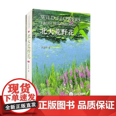 北大荒野花 于宝玲 著 科普读物