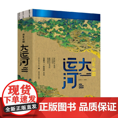 传奇中国 大运河 姜师立著 运河京杭运河中国大运河黄金水道隋唐文化