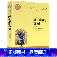 绿山墙的安妮 [正版]5本25元傲慢与偏见原着原版 初中高中小学生课外阅读书籍小说 青少年名著书籍 成人阅读名著书籍名家