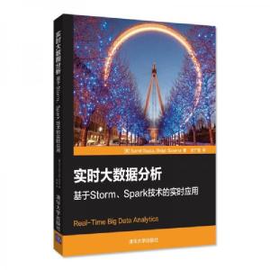 正版新书]实时大数据分析:基于Storm、Spark技术的实时应用萨米