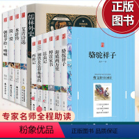 [正版]海底两万里和骆驼祥子钢铁是怎样炼成的傅雷家书儒林外史艾青诗选初中七年级八年级九年级上册下册初中课外阅读名著书籍