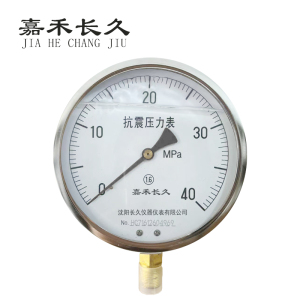 嘉禾长久 耐震压力表检测型 YTN150 块