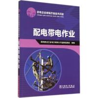 正版新书]配电带电作业王海龙//刘俊卿//李占奎//原向涛//李华97